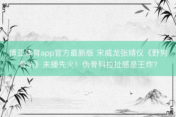 博亚体育app官方最新版 宋威龙张婧仪《野狗骨头》未播先火！伪骨科拉扯感是王炸？